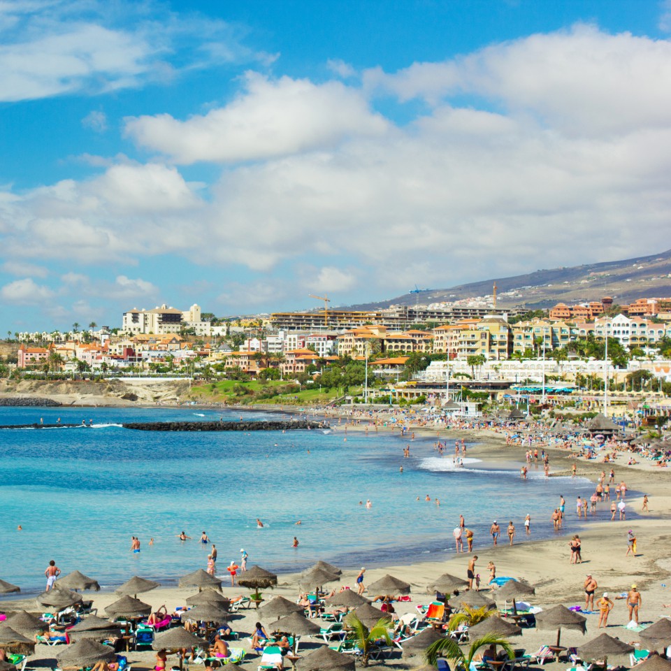 D916-F13674-playa-de-torviscas
